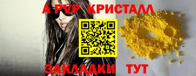 прущие грибы Заводоуковск